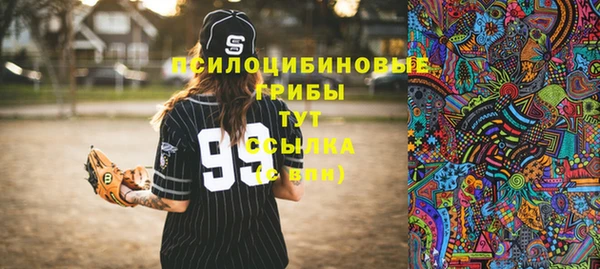 тгк Абдулино