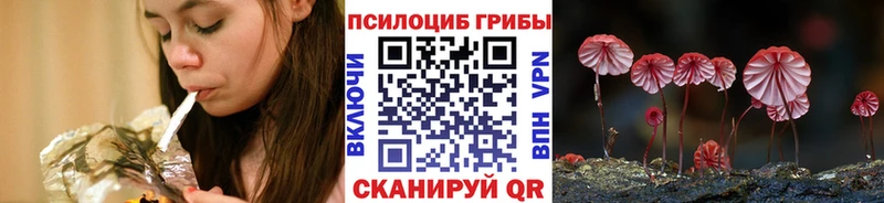 кракен как зайти  Александровск  Галлюциногенные грибы GOLDEN TEACHER 